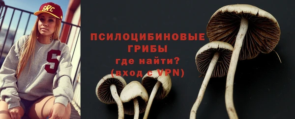apvp Гусев