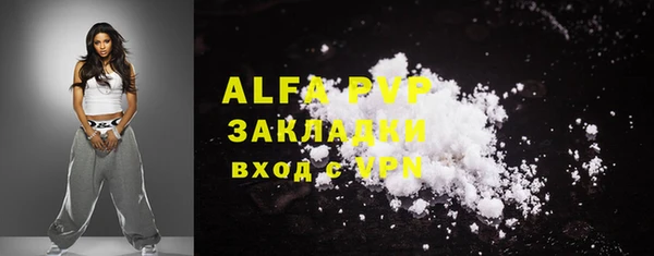apvp Гусев
