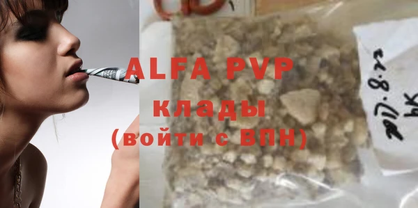 apvp Гусев