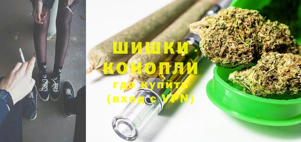 apvp Гусев