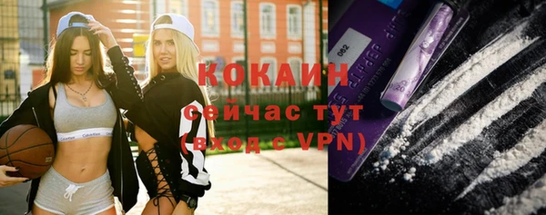 apvp Гусев