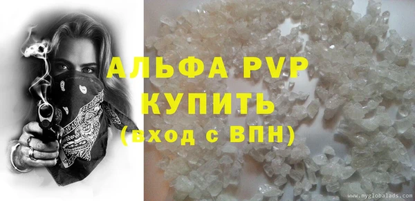 apvp Гусев