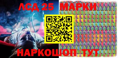 гидропоника Дубна