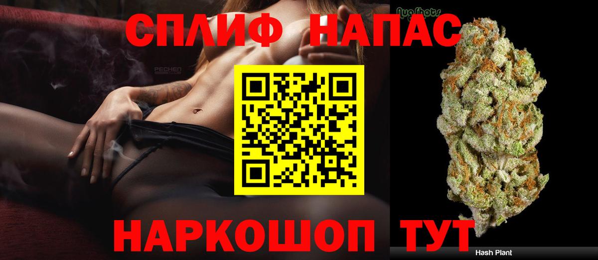 Конопля гибрид Междуреченск