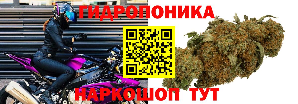 Бошки марихуана Amnesia Междуреченск